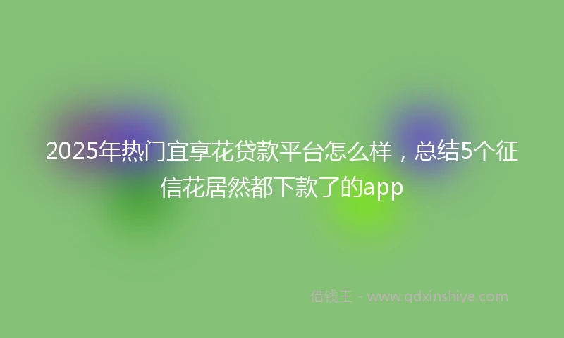 2025年热门宜享花贷款平台怎么样，总结5个征信花居然都下款了的app