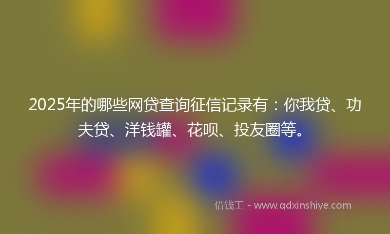 2025年的哪些网贷查询征信记录有：你我贷、功夫贷、洋钱罐、花呗、投友圈等。