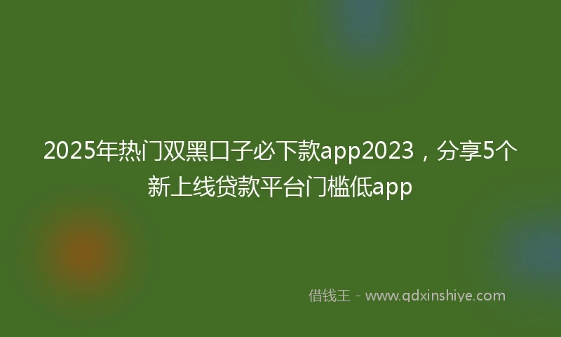 2025年热门双黑口子必下款app2023，分享5个新上线贷款平台门槛低app