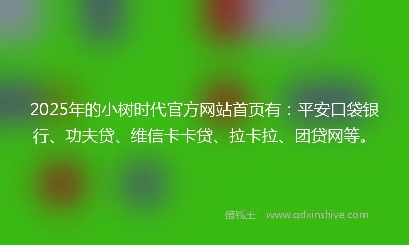 2025年的小树时代官方网站首页有：平安口袋银行、功夫贷、维信卡卡贷、拉卡拉、团贷网等。