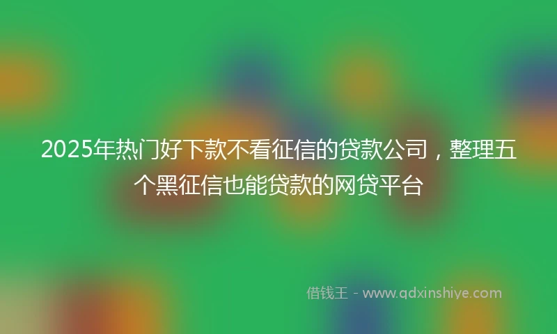 2025年热门好下款不看征信的贷款公司，整理五个黑征信也能贷款的网贷平台