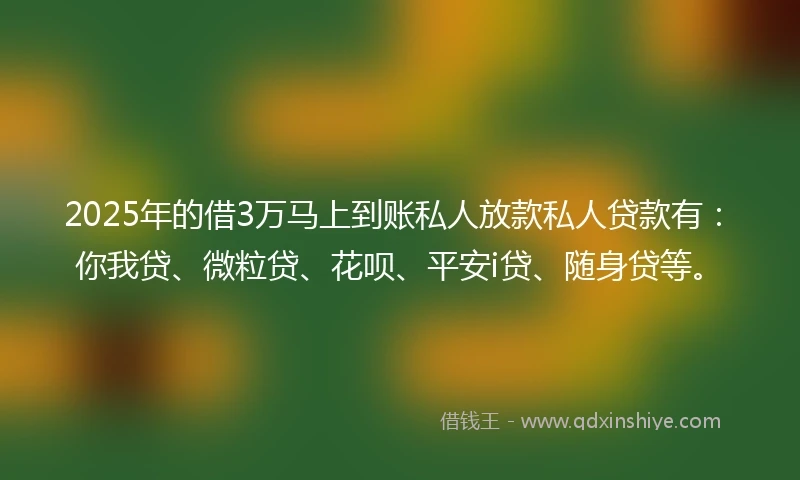 2025年的借3万马上到账私人放款私人贷款有：你我贷、微粒贷、花呗、平安i贷、随身贷等。