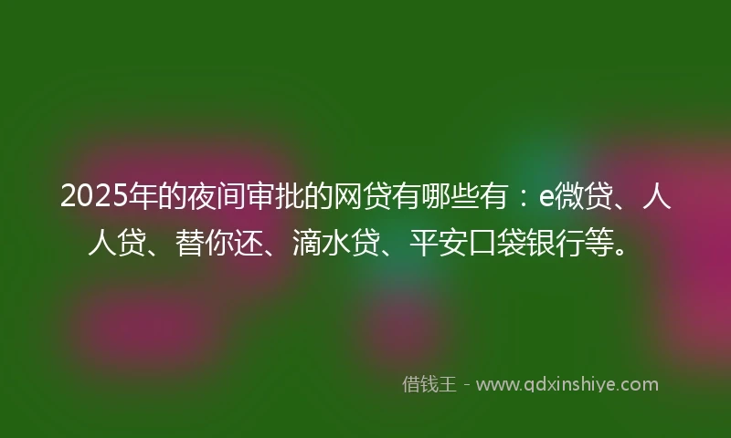 2025年的夜间审批的网贷有哪些有:e微贷、人人贷、替你还、滴水贷、平安口袋银行等。