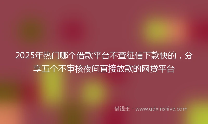2025年热门哪个借款平台不查征信下款快的，分享五个不审核夜间直接放款的网贷平台