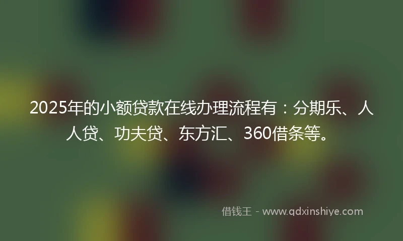 2025年的小额贷款在线办理流程有：分期乐、人人贷、功夫贷、东方汇、360借条等。
