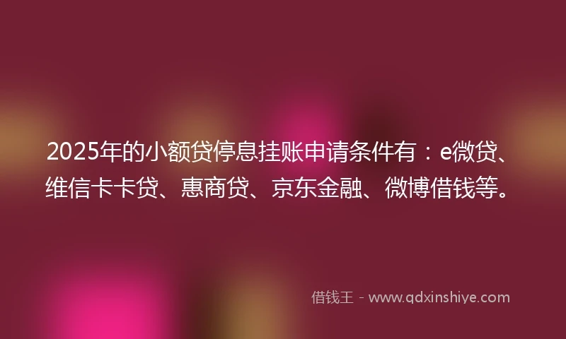 2025年的小额贷停息挂账申请条件有：e微贷、维信卡卡贷、惠商贷、京东金融、微博借钱等。