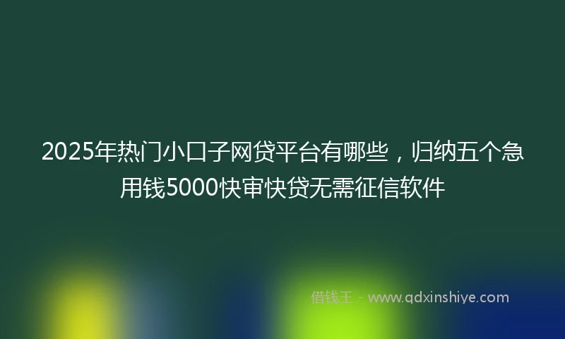 2025年热门小口子网贷平台有哪些，归纳五个急用钱5000快审快贷无需征信软件