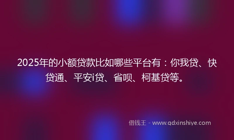 2025年的小额贷款比如哪些平台有：你我贷、快贷通、平安i贷、省呗、柯基贷等。