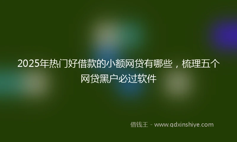 2025年热门好借款的小额网贷有哪些，梳理五个网贷黑户必过软件