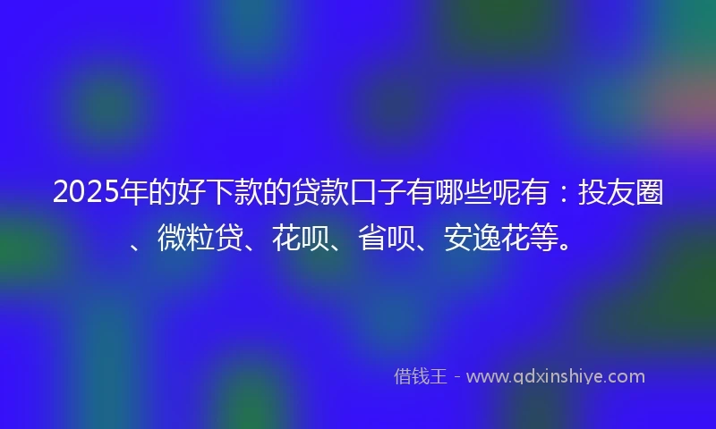 2025年的好下款的贷款口子有哪些呢有：投友圈、微粒贷、花呗、省呗、安逸花等。