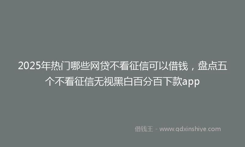 2025年热门哪些网贷不看征信可以借钱，盘点五个不看征信无视黑白百分百下款app
