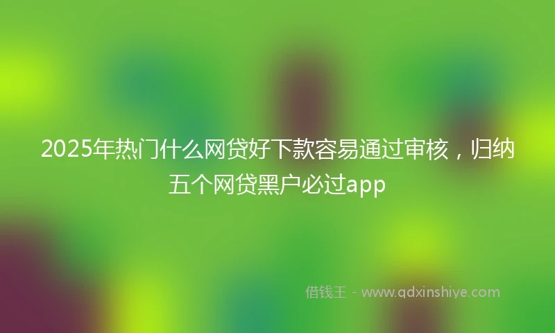 2025年热门什么网贷好下款容易通过审核，归纳五个网贷黑户必过app