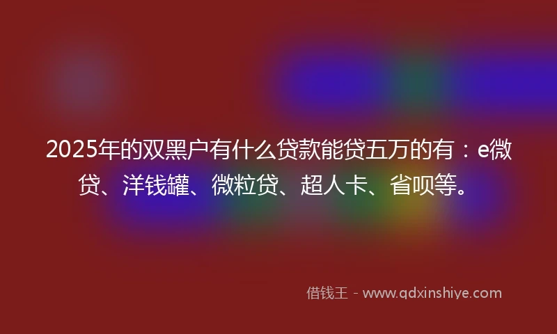 2025年的双黑户有什么贷款能贷五万的有：e微贷、洋钱罐、微粒贷、超人卡、省呗等。