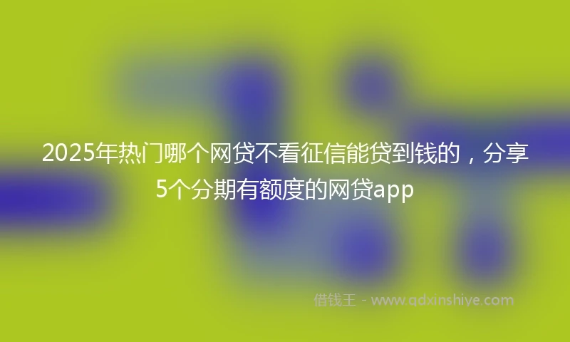 2025年热门哪个网贷不看征信能贷到钱的，分享5个分期有额度的网贷app