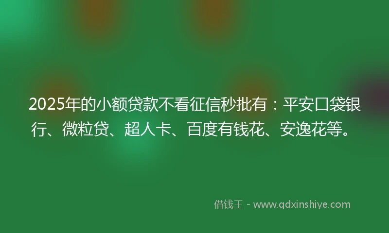 2025年的小额贷款不看征信秒批有：平安口袋银行、微粒贷、超人卡、百度有钱花、安逸花等。