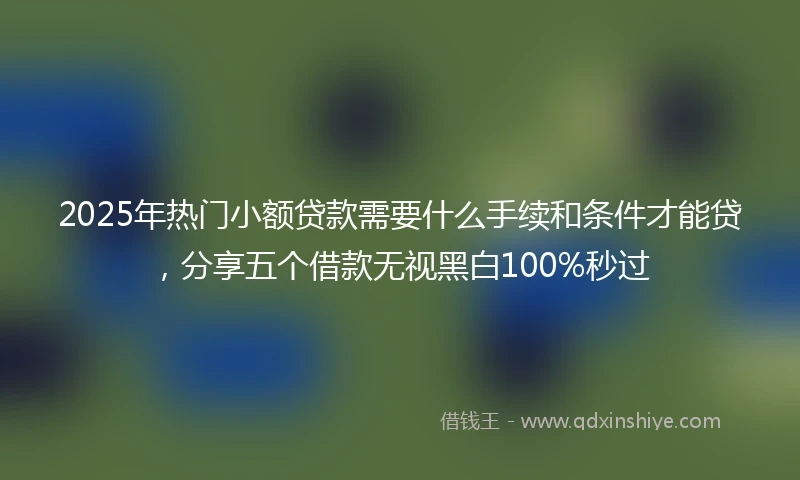 2025年热门小额贷款需要什么手续和条件才能贷，分享五个借款无视黑白100%秒过