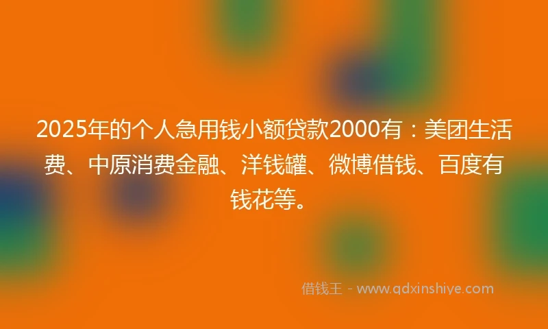 2025年的个人急用钱小额贷款2000有：美团生活费、中原消费金融、洋钱罐、微博借钱、百度有钱花等。