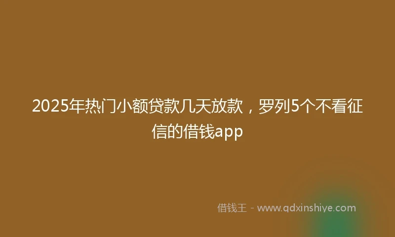 2025年热门小额贷款几天放款，罗列5个不看征信的借钱app