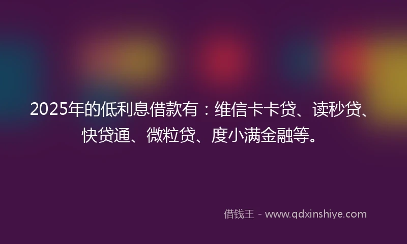 2025年的低利息借款有：维信卡卡贷、读秒贷、快贷通、微粒贷、度小满金融等。