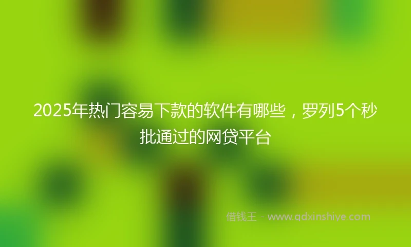 2025年热门容易下款的软件有哪些，罗列5个秒批通过的网贷平台