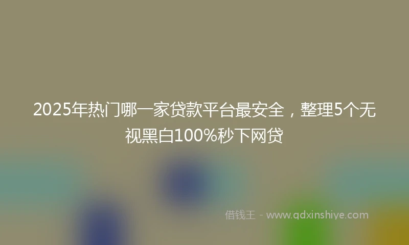 2025年热门哪一家贷款平台最安全，整理5个无视黑白100%秒下网贷