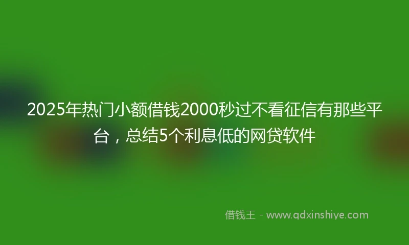 2025年热门小额借钱2000秒过不看征信有那些平台，总结5个利息低的网贷软件