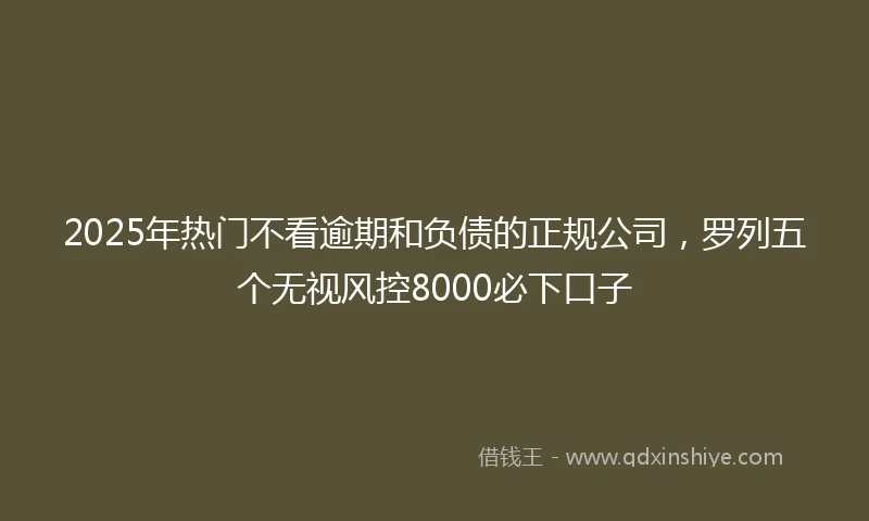 2025年热门不看逾期和负债的正规公司，罗列五个无视风控8000必下口子