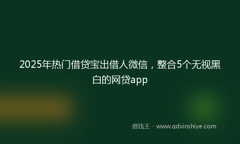 2025年热门借贷宝出借人微信，整合5个无视黑白的网贷app