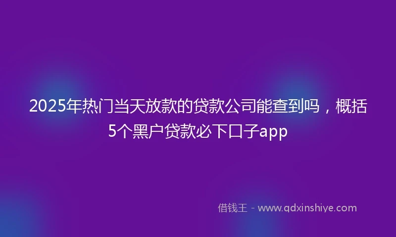 2025年热门当天放款的贷款公司能查到吗，概括5个黑户贷款必下口子app