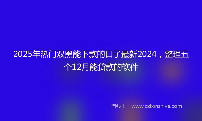 2025年热门双黑能下款的口子最新2024，整理五个12月能贷款的软件