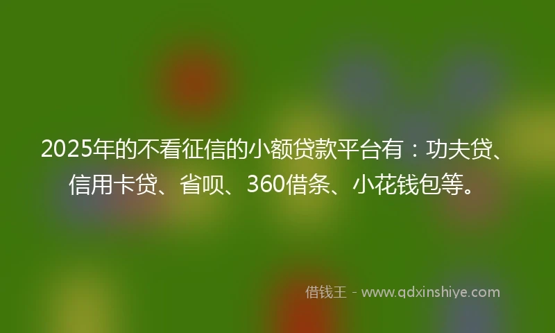 2025年的不看征信的小额贷款平台有：功夫贷、信用卡贷、省呗、360借条、小花钱包等。