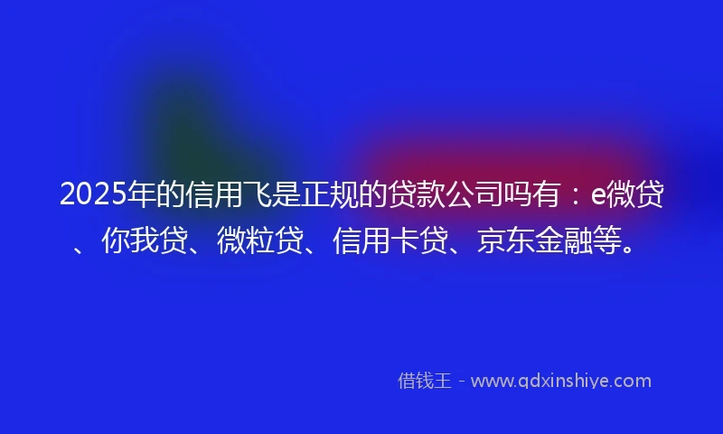 2025年的信用飞是正规的贷款公司吗有：e微贷、你我贷、微粒贷、信用卡贷、京东金融等。