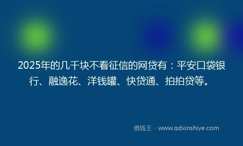 2025年的几千块不看征信的网贷有：平安口袋银行、融逸花、洋钱罐、快贷通、拍拍贷等。