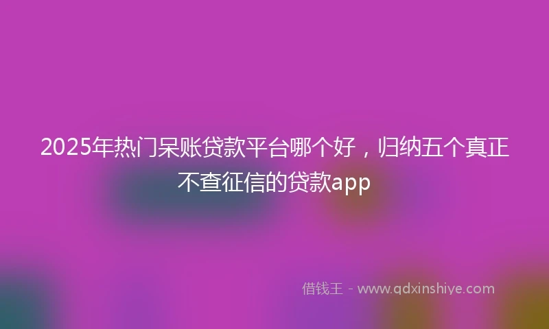 2025年热门呆账贷款平台哪个好，归纳五个真正不查征信的贷款app