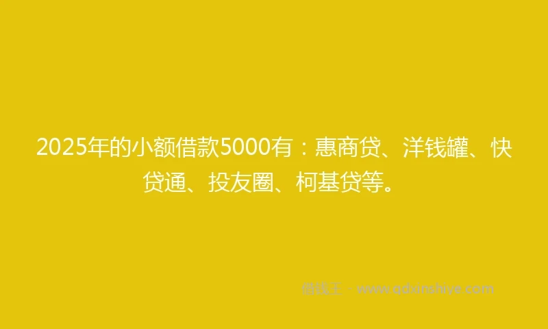 2025年的小额借款5000有：惠商贷、洋钱罐、快贷通、投友圈、柯基贷等。