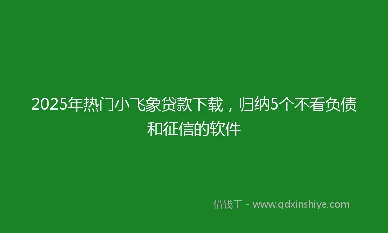 2025年热门小飞象贷款下载，归纳5个不看负债和征信的软件