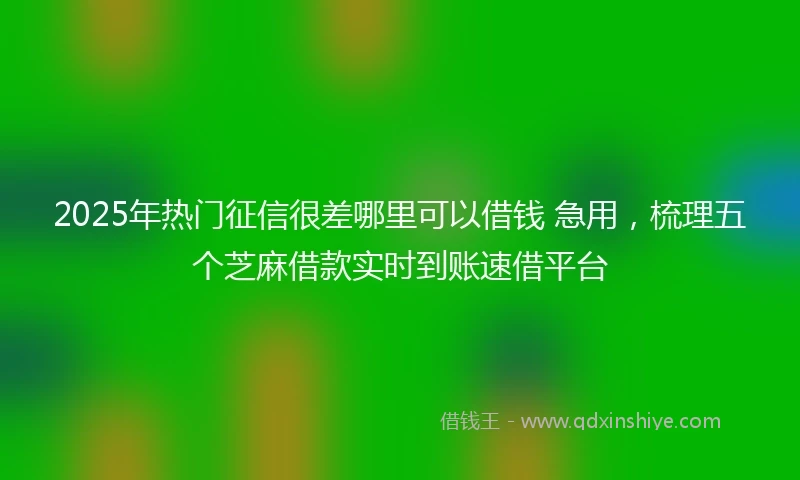 2025年热门征信很差哪里可以借钱 急用，梳理五个芝麻借款实时到账速借平台