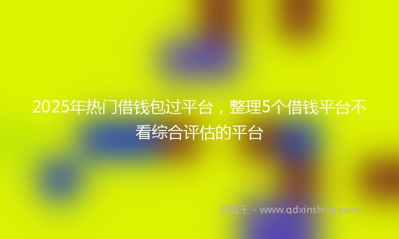 2025年热门借钱包过平台，整理5个借钱平台不看综合评估的平台