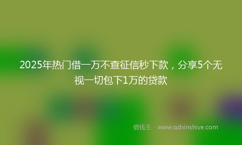2025年热门借一万不查征信秒下款，分享5个无视一切包下1万的贷款