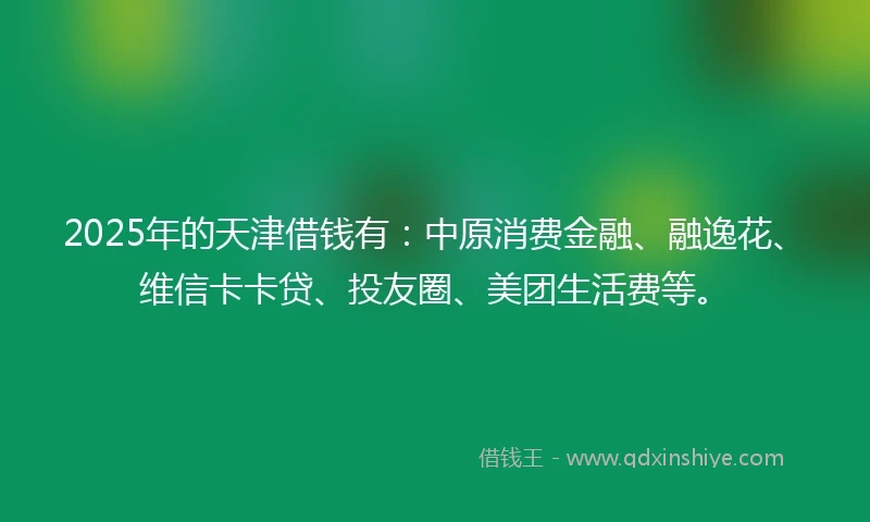 2025年的天津借钱有：中原消费金融、融逸花、维信卡卡贷、投友圈、美团生活费等。