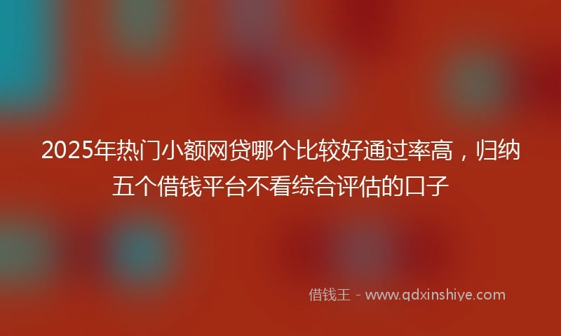 2025年热门小额网贷哪个比较好通过率高，归纳五个借钱平台不看综合评估的口子