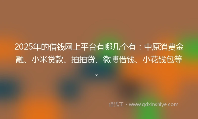 2025年的借钱网上平台有哪几个有：中原消费金融、小米贷款、拍拍贷、微博借钱、小花钱包等。