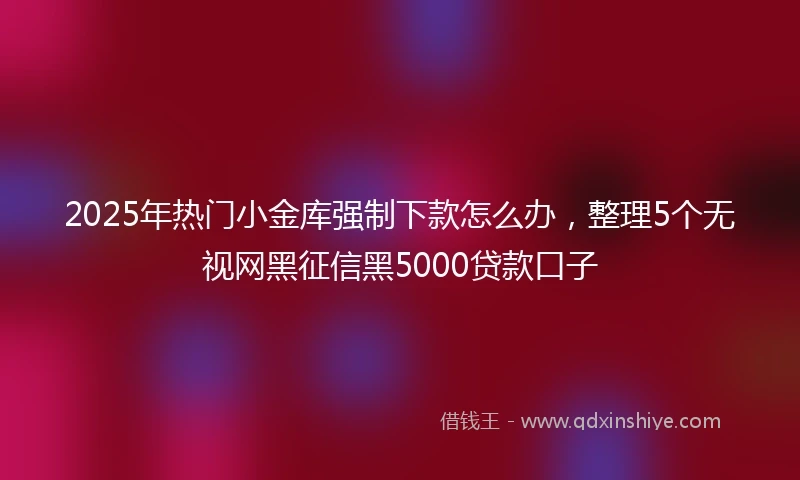 2025年热门小金库强制下款怎么办，整理5个无视网黑征信黑5000贷款口子