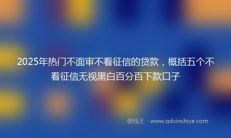 2025年热门不面审不看征信的贷款，概括五个不看征信无视黑白百分百下款口子