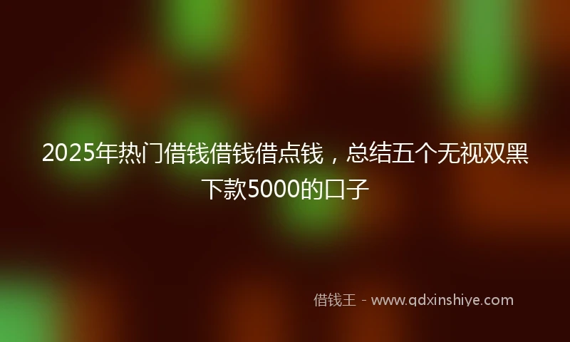 2025年热门借钱借钱借点钱，总结五个无视双黑下款5000的口子