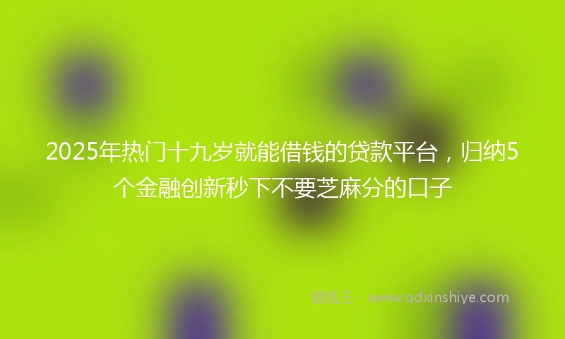 2025年热门十九岁就能借钱的贷款平台，归纳5个金融创新秒下不要芝麻分的口子
