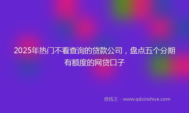 2025年热门不看查询的贷款公司，盘点五个分期有额度的网贷口子