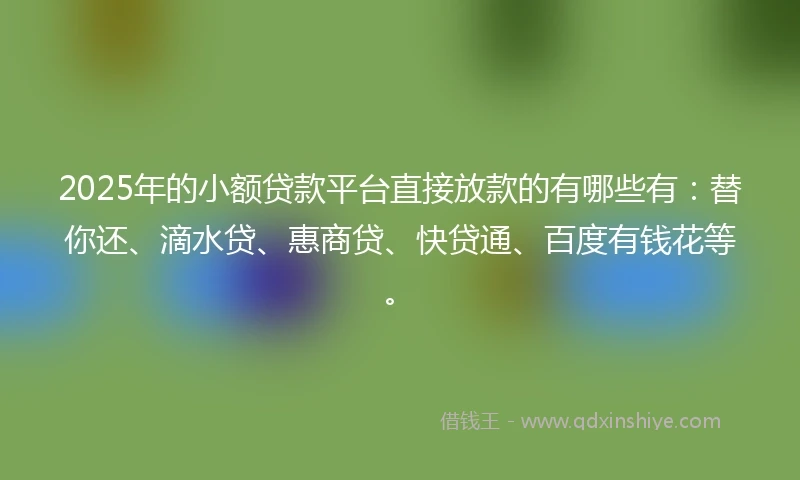 2025年的小额贷款平台直接放款的有哪些有：替你还、滴水贷、惠商贷、快贷通、百度有钱花等。