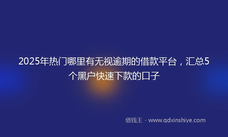 2025年热门哪里有无视逾期的借款平台，汇总5个黑户快速下款的口子
