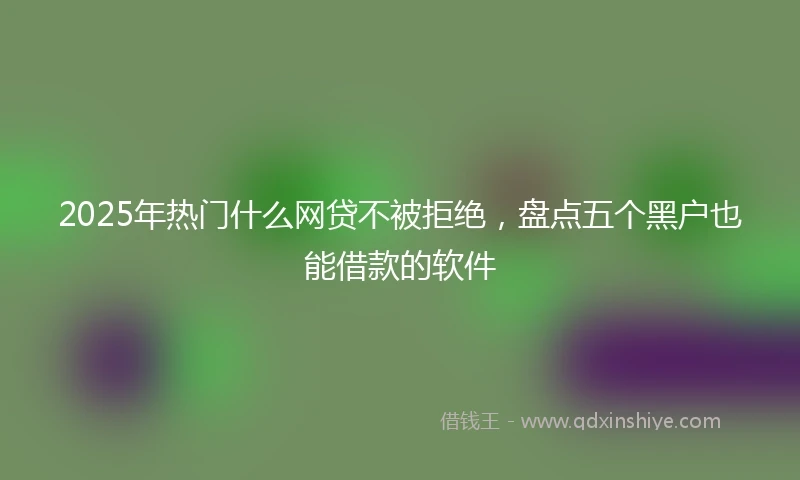 2025年热门什么网贷不被拒绝，盘点五个黑户也能借款的软件